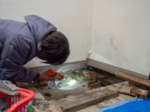 Best Comprehensive Air Testing for Mold Contaminants  in Mayville, ND