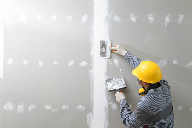 Best Post-Remediation Verification Testing  in Mayville, ND