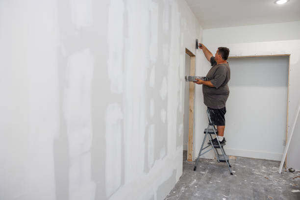 Best Emergency Mold Remediation  in Mayville, ND