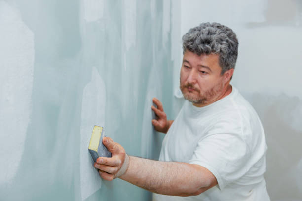 Mold Documentation for Insurance Claims in Mayville, ND
