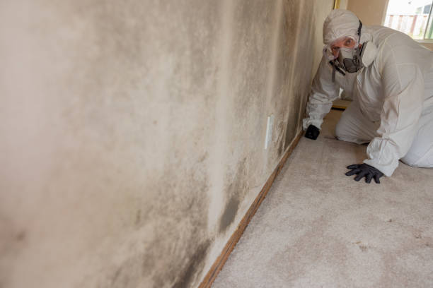 Best Indoor Air Quality Assessment  in Mayville, ND