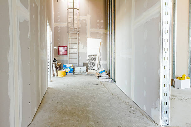 Best Mold-Related Health Consultation  in Mayville, ND