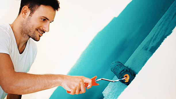 Best Biohazard Mold Removal  in Mayville, ND