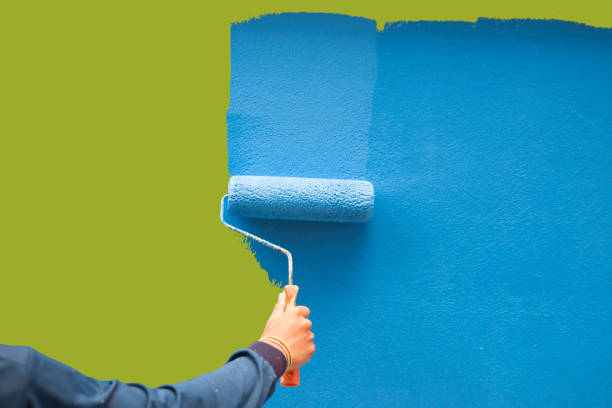 Best Mold Damage Restoration  in Mayville, ND